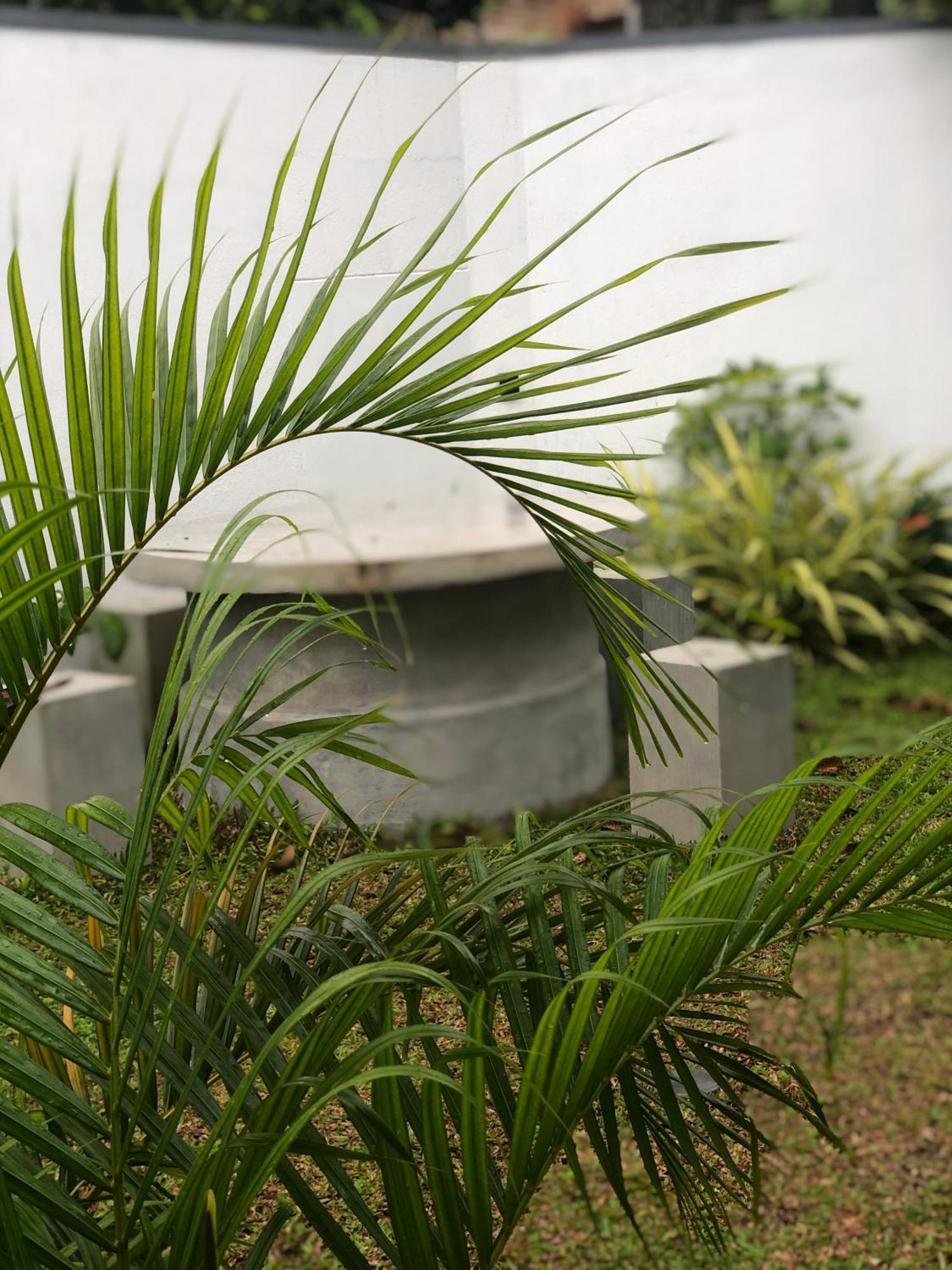 Luvi'S Villa Galle Exteriér fotografie