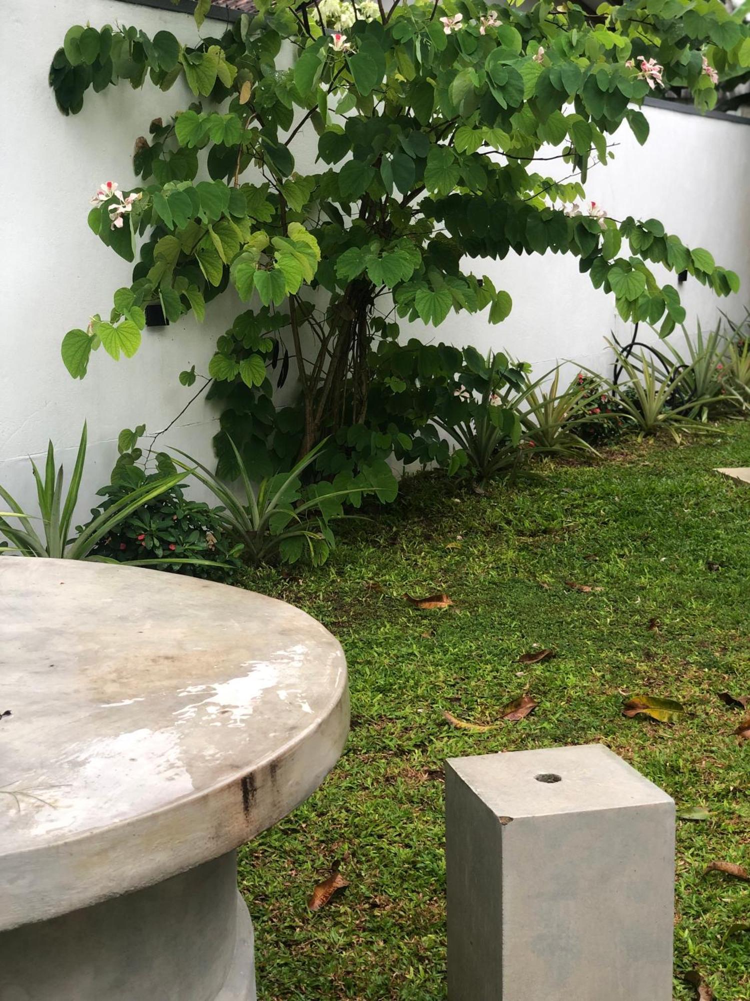 Luvi'S Villa Galle Exteriér fotografie