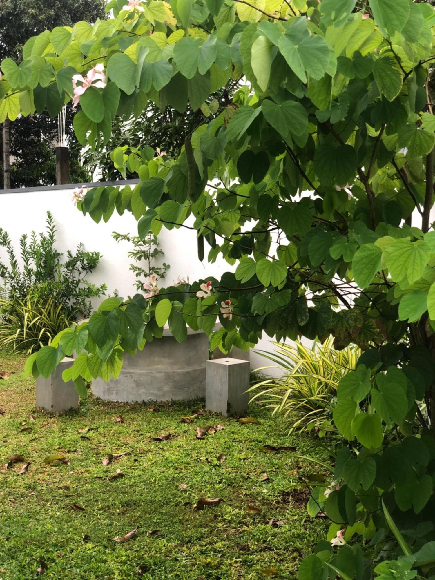 Luvi'S Villa Galle Exteriér fotografie