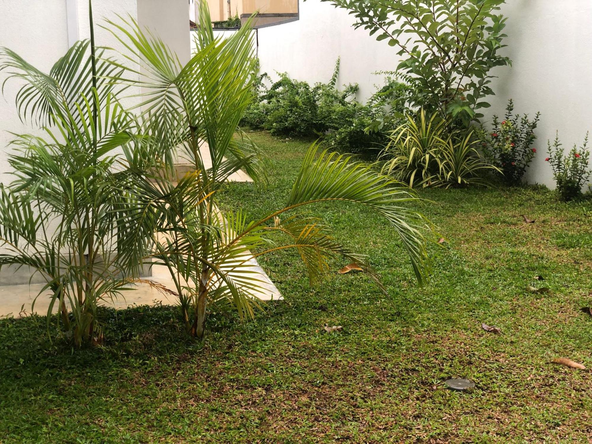 Luvi'S Villa Galle Exteriér fotografie