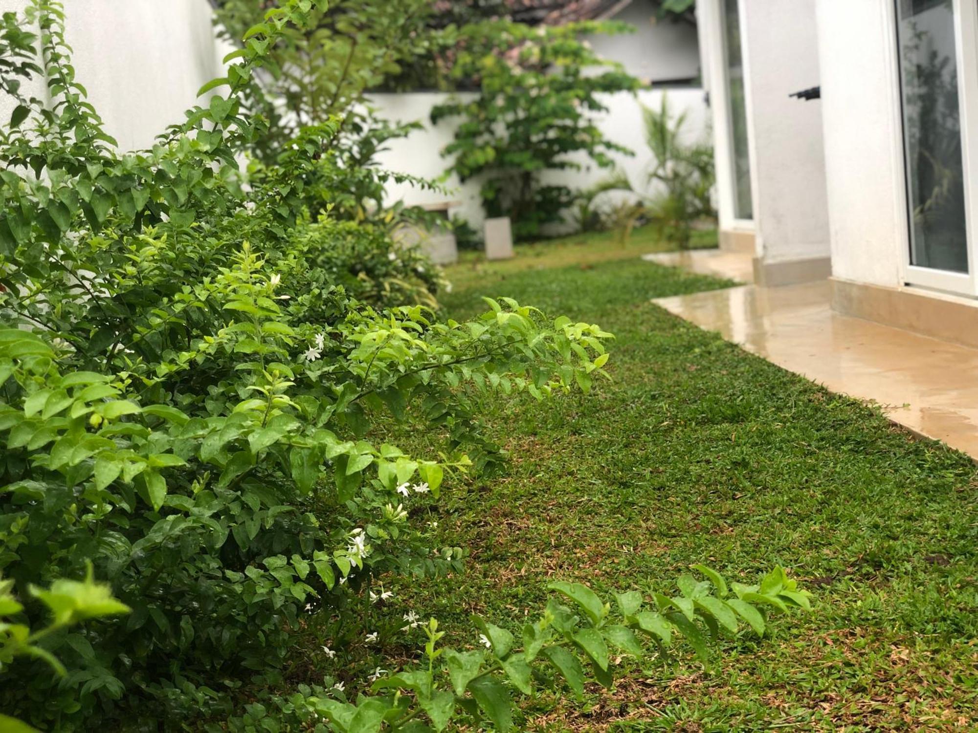 Luvi'S Villa Galle Exteriér fotografie