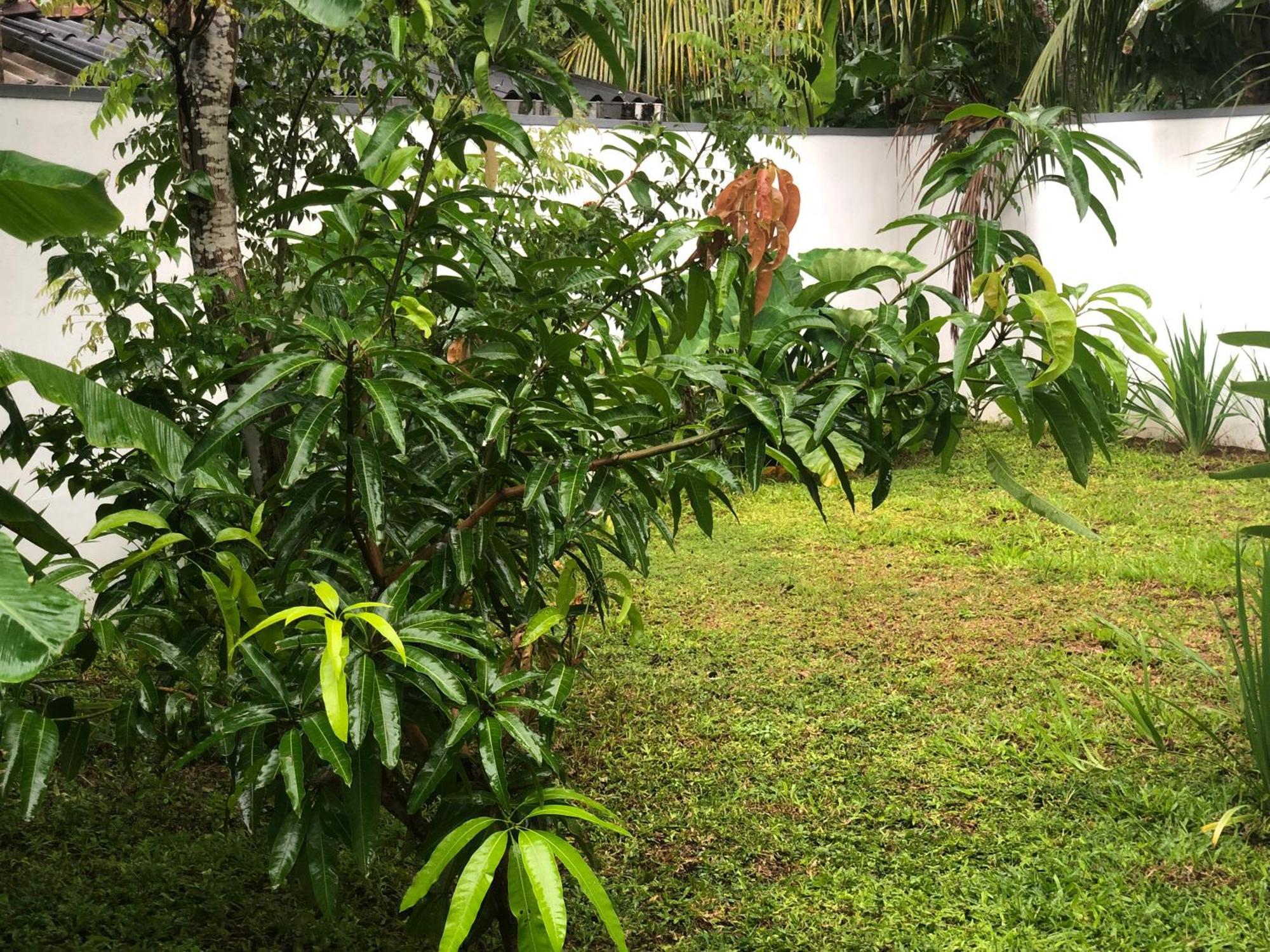 Luvi'S Villa Galle Exteriér fotografie